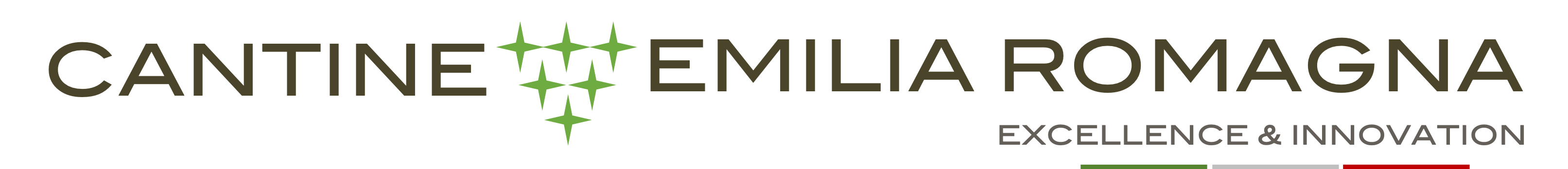 Vini Emilia Romagna - Excellence and Innovation